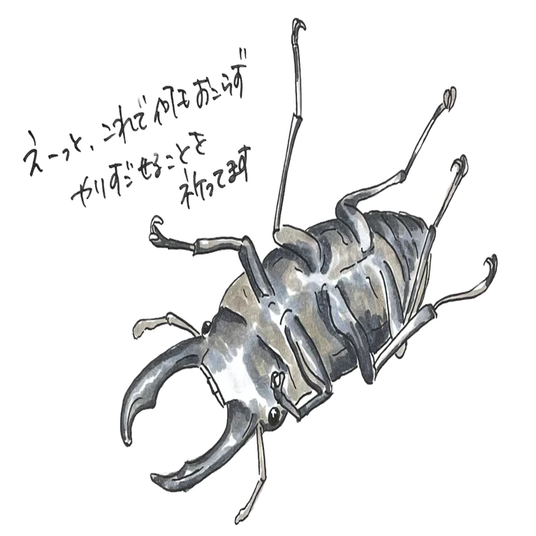 絵を描くまでクワガタの目がこんなことになってるなんて知らなかった 自然ガイドのネタ帳 くますけ Note