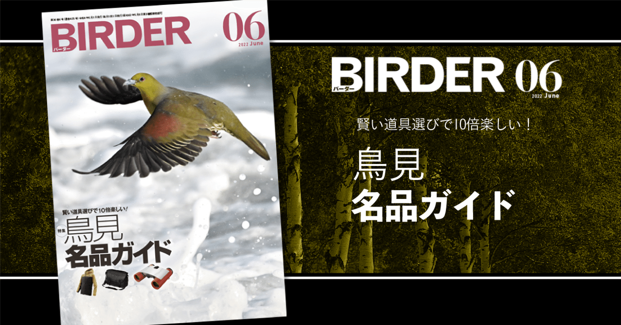 BIRDER6月号の見どころ｜ブンイチ（文一総合出版）