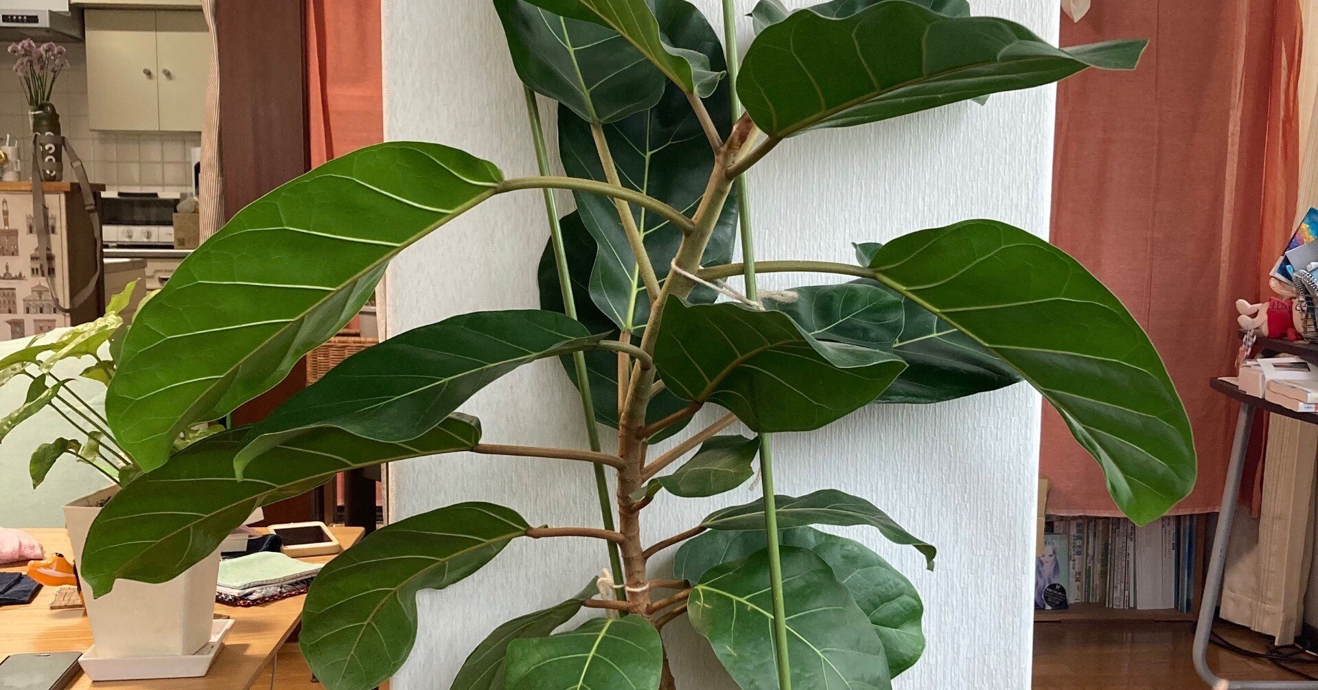 d4bee198731c53a78a36ea7d87f2be