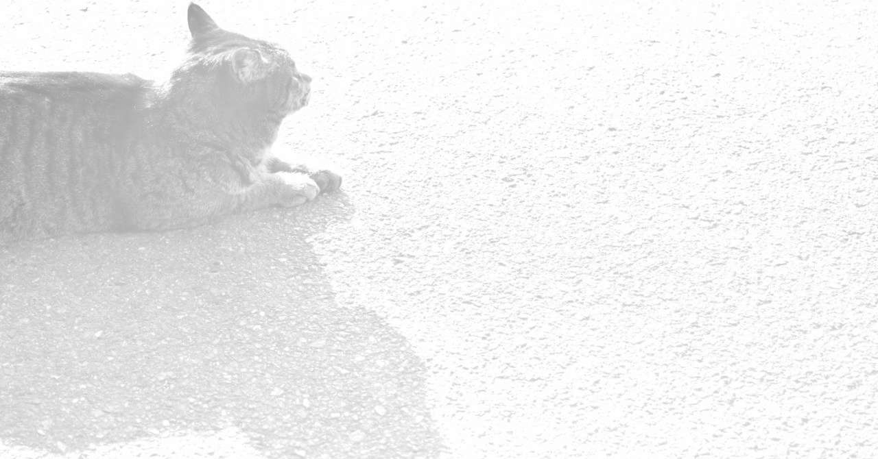 漫画 Unidentified ネタバレ考察 にゃんぱっしん Note