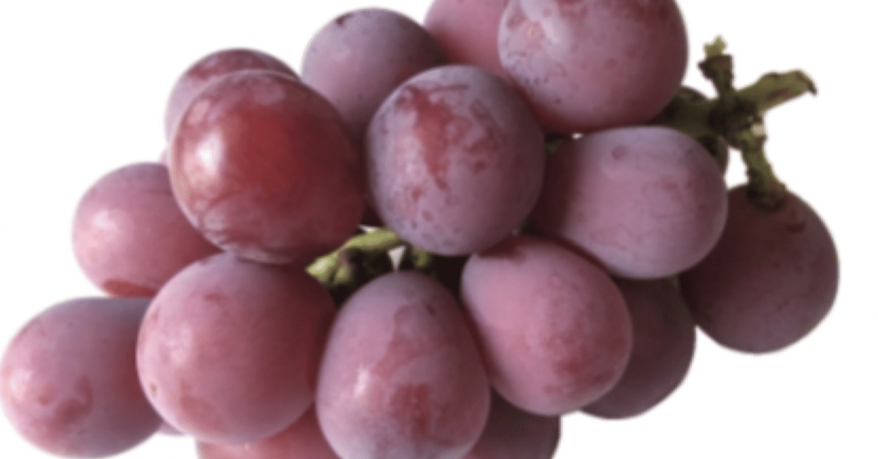 rectangle_large_type_2_097a6de rectangle_large_type_2_097a6de