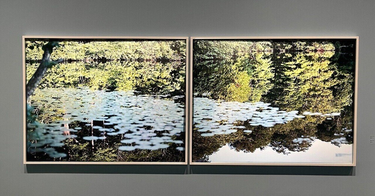 学芸員、アーティゾンへ行く ［しびれた！柴田敏雄と鈴木理策展