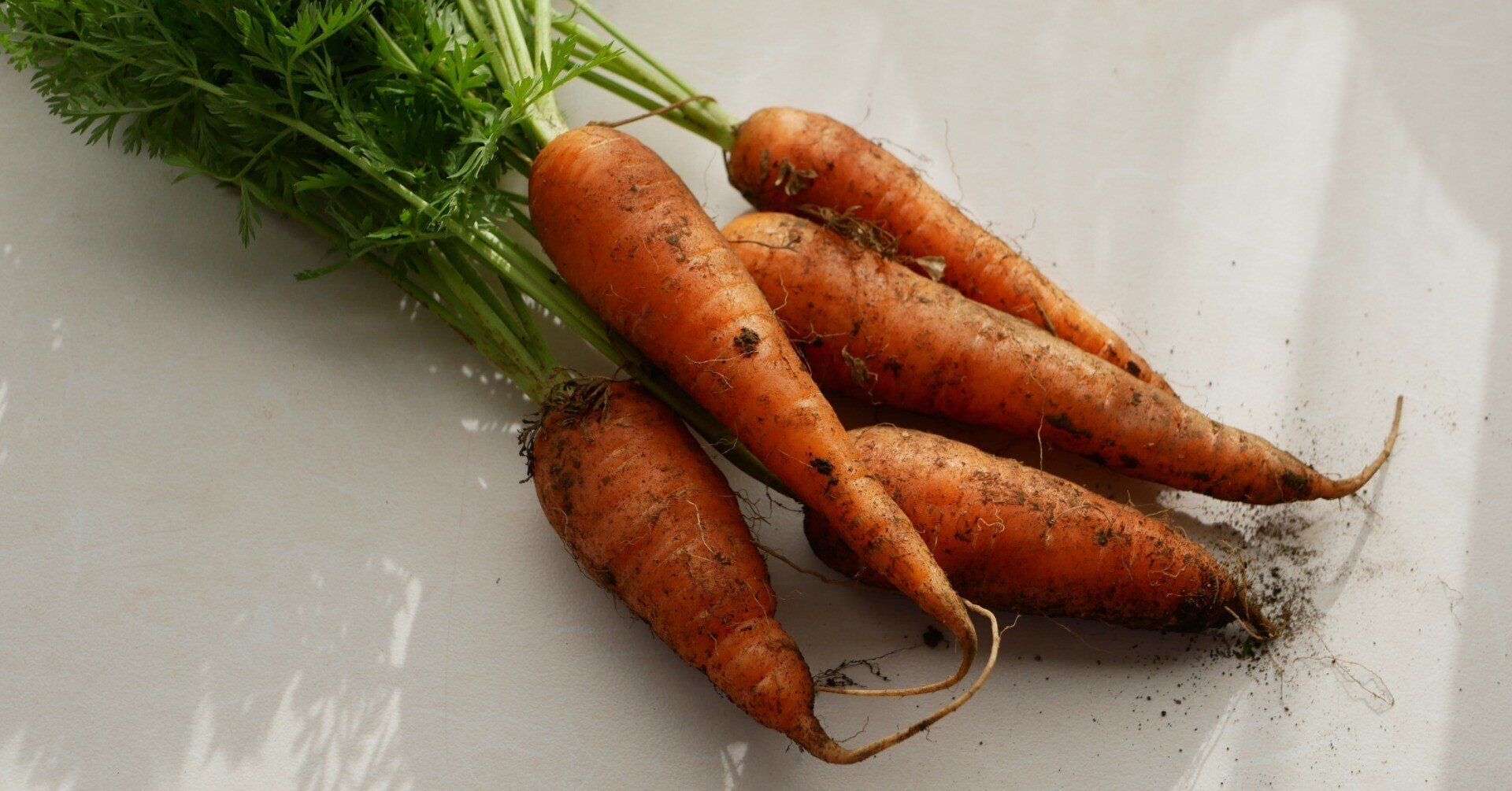 じっくり味に向かい合う にんじんの塩スープ 有賀 薫 Note じっくり味に向かい合う にんじんの塩スープ 有賀 薫 Note