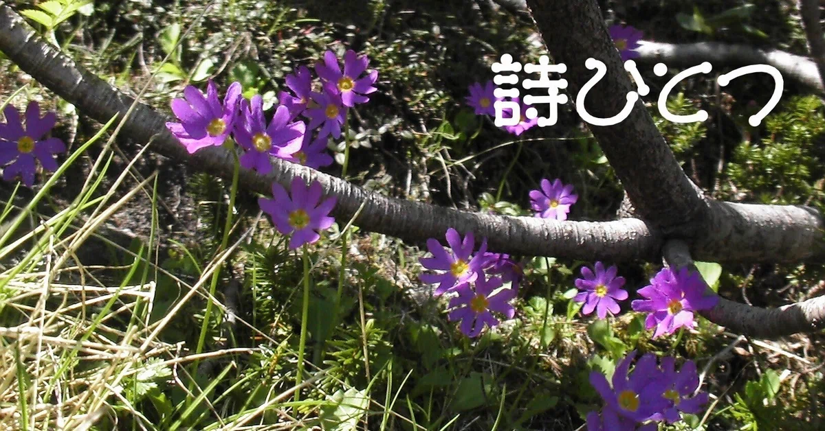 窮屈|むぎはら そら
