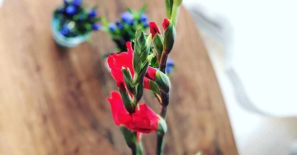 わたしが結婚したい理由 カナエナカ Note