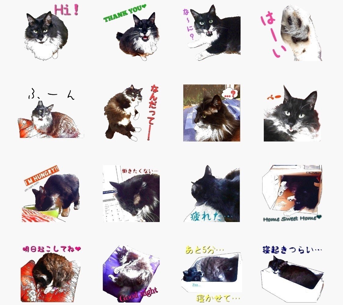 映え要素皆無な家での写真からのlineスタンプの作り方 今井安紀 Note