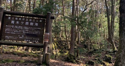 池田満寿夫」の人気タグ記事一覧｜note ――つくる、つながる、と