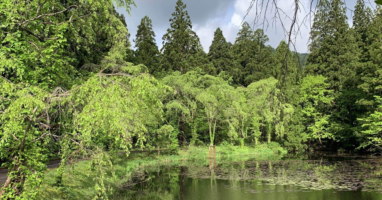 写真館 秋田市仁別国民の森 古すぎて美しい森を地元民はあまり知らない Kana99 Note 写真館 秋田市仁別国民の森 古すぎて美しい森を地元民はあまり知らない Kana99 Note