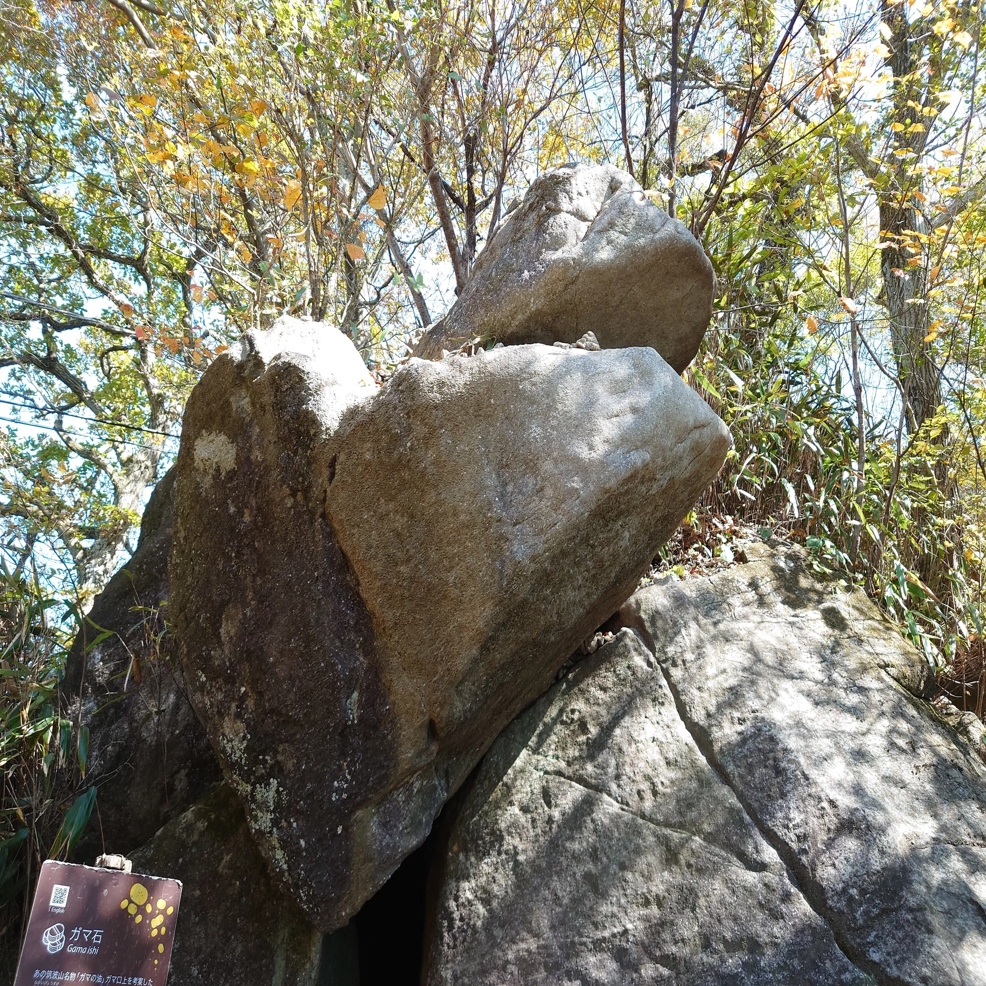筑波山の、ガマ石。金運のパワースポットらしく、口に見える部分に石を 
