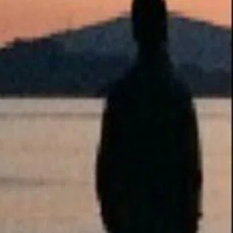 環　旅斗