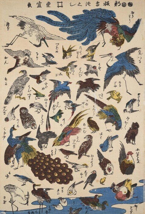第2055回 浮世絵の中の鳥の文学｜翆野 大地