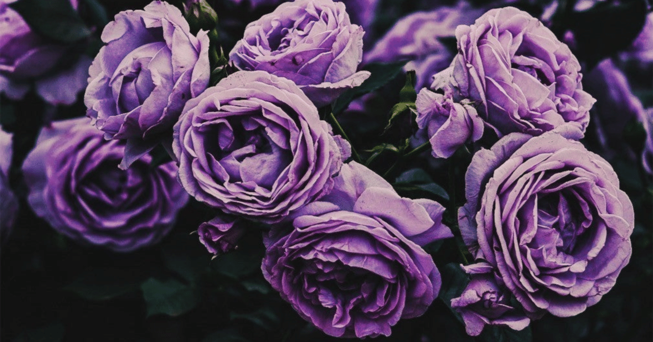 Diabolik Loversキャラソン初心者向け解説 切断 舞踏会 ディアラバ最恐ソング 奴裳嵐すぴか Note Diabolik Loversキャラソン初心者向け解説 切断 舞踏会 ディアラバ最恐ソング 奴裳嵐すぴか Note