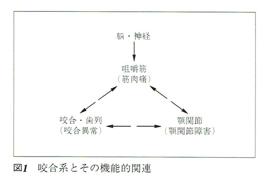 咬合再構成における治療用義歯（装置）の意義について｜東邦歯科診療所