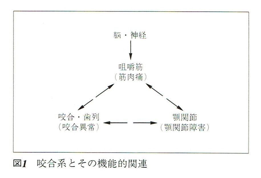 図解・咬合採得