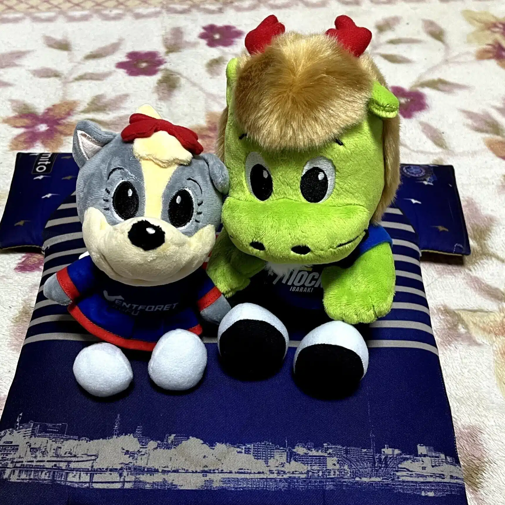 藤縄明彦：茨城大学ホーリーネット（特別顧問）(*^^)v