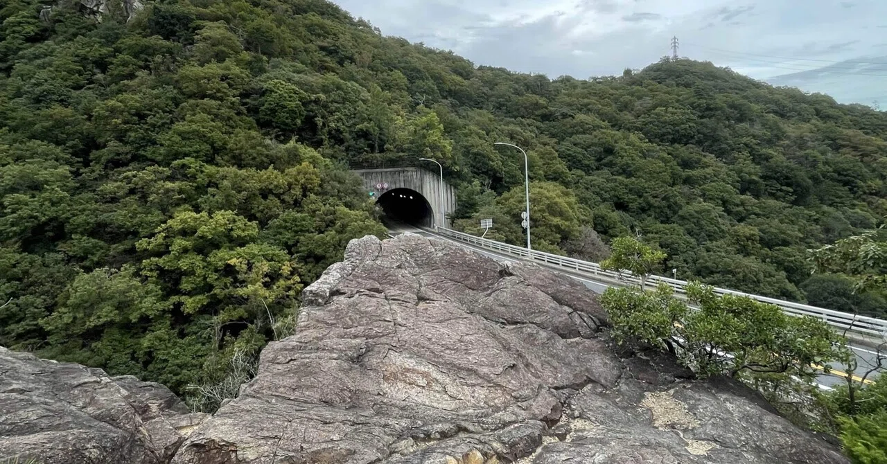ひよどり ご え 森林 公園