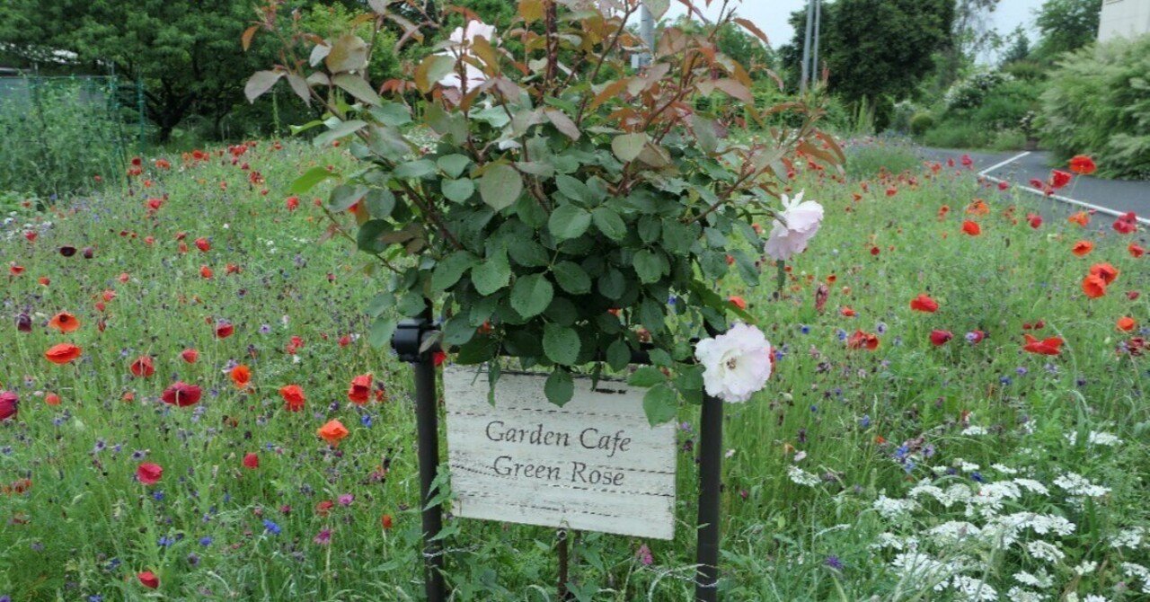 ガーデンカフェグリーンローズ 2022年5月16日 気楽な散歩 Note ガーデンカフェグリーンローズ 2022年5月16日 気楽な散歩 Note