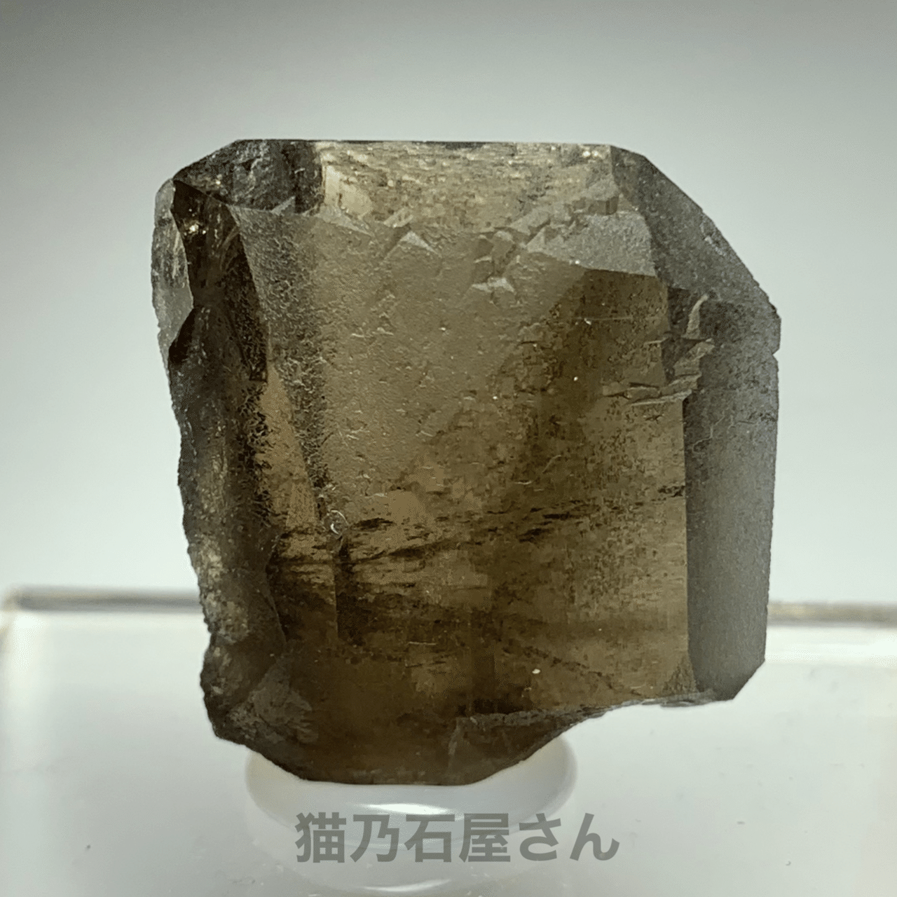 Gwindelを詳しく解説 5/20追記｜猫乃石屋さん