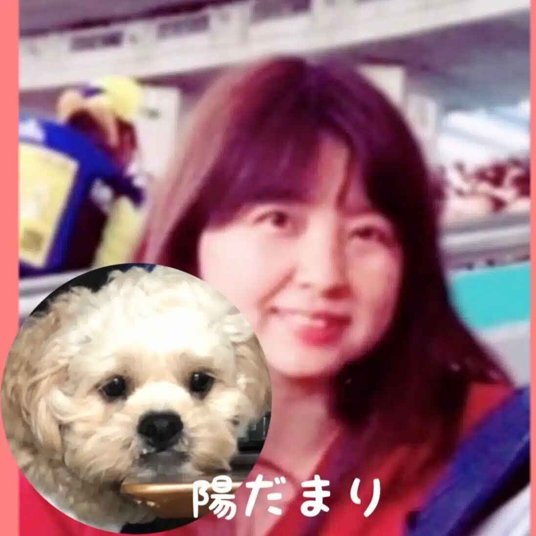 陽だまり