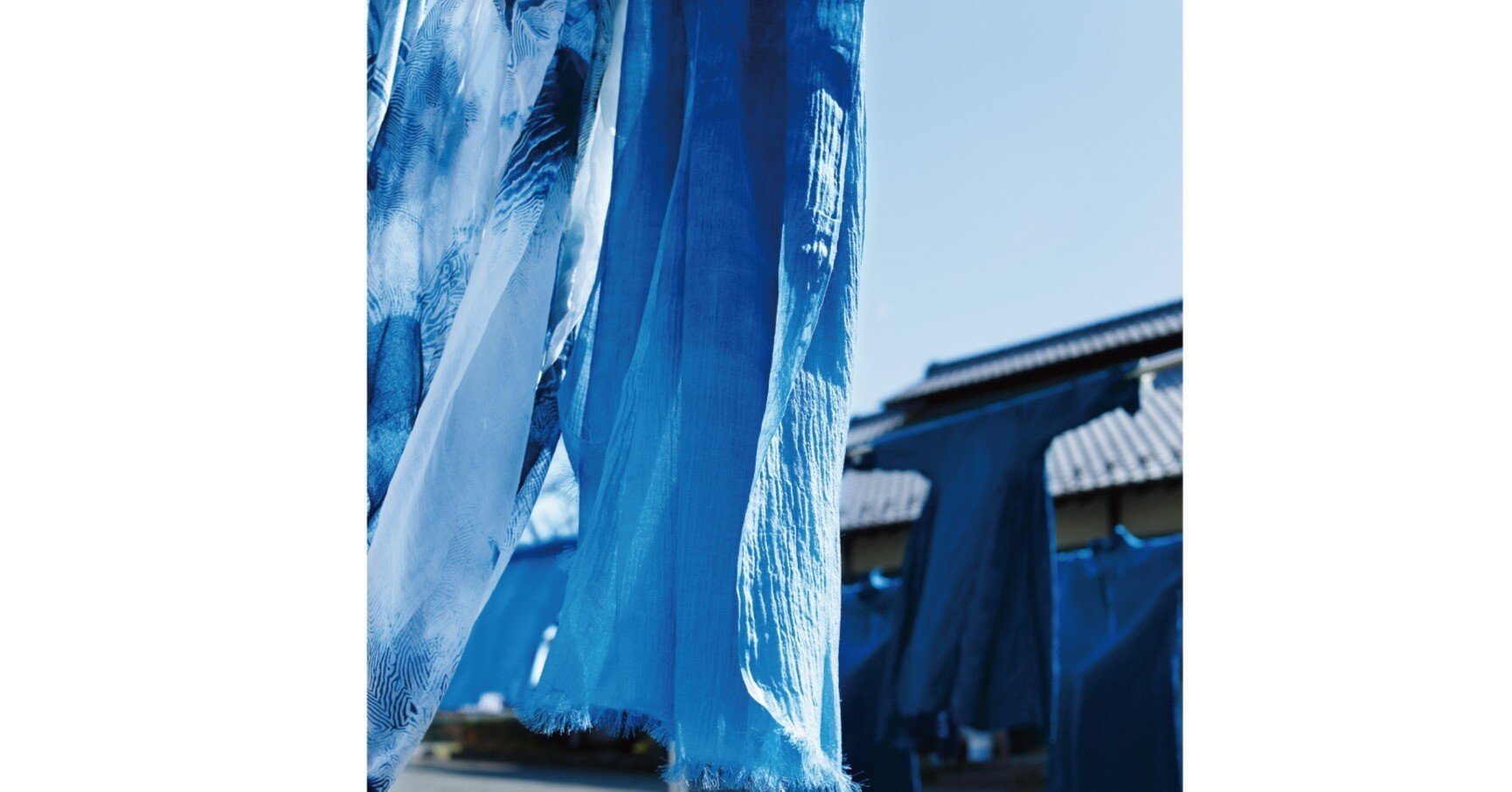 羆青からの縞　確率的に非常に珍しい　三重県産　本性　1条 三重大Rナビ -三重大学の研究最前線- | 勢水丸で採集された新種の