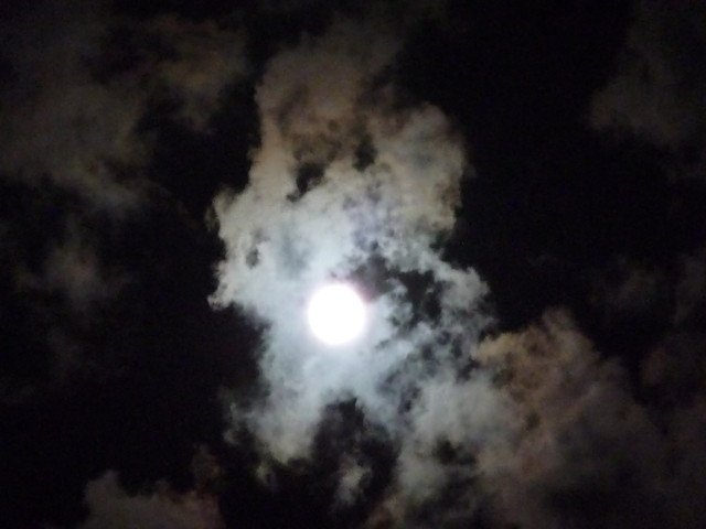 ついさっき月が見えたので撮りました♪