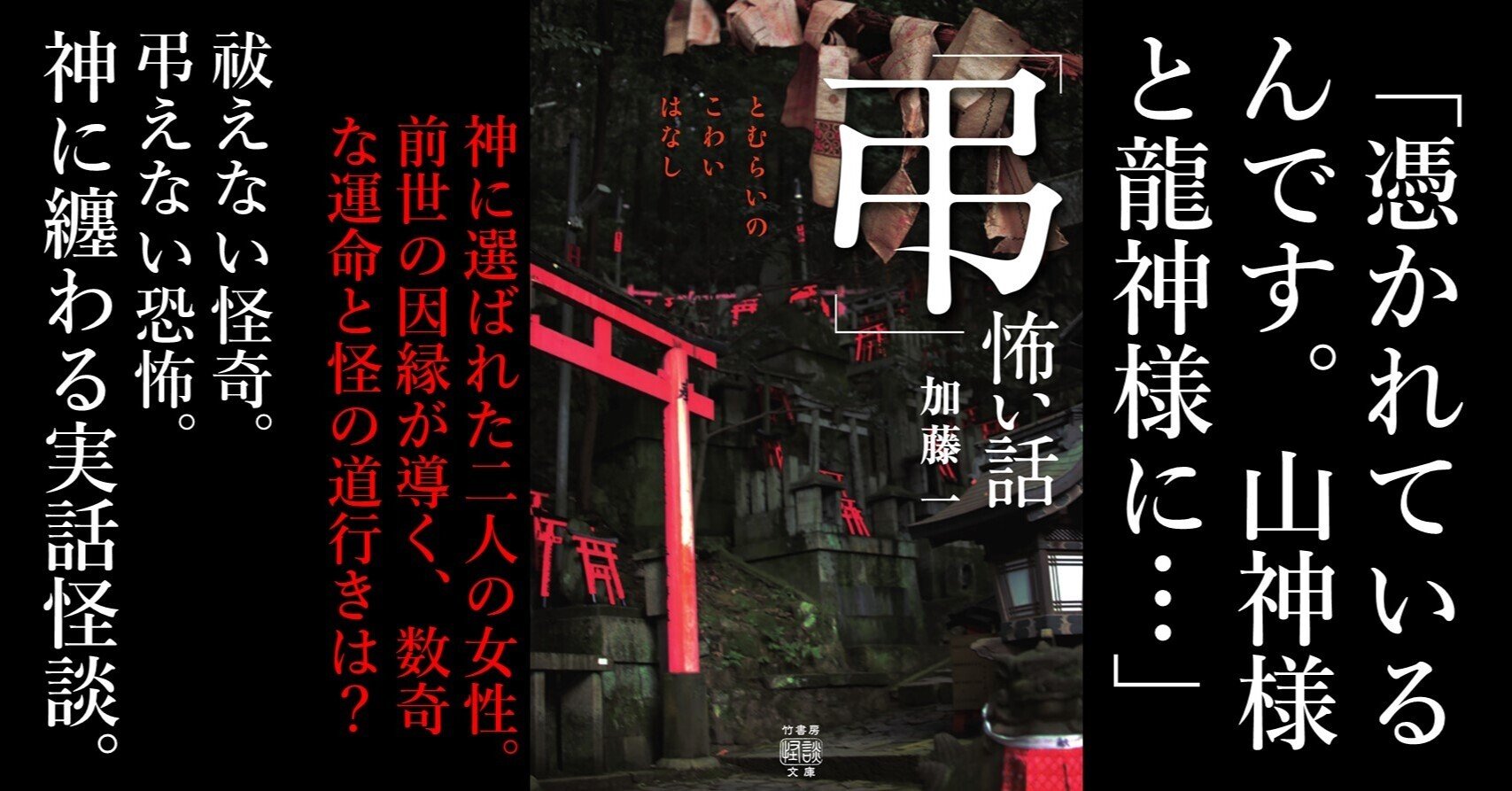 悪霊消滅: 貧乏神・事故・酒乱の因縁を払い事業を成功させる秘法 旧枠仕様)破壊的な逸脱者/Consuming Aberration《日本語》【TSR】