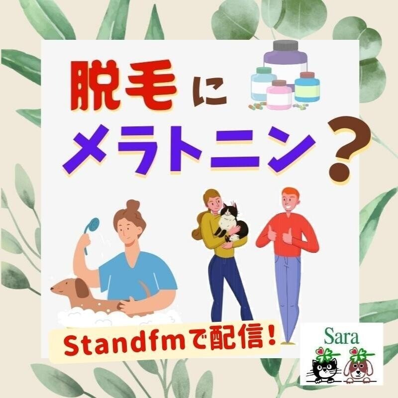 Standfmで配信___1_