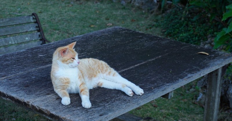 大切な人との関わりを淡白にしてまで 節約した時間 を 私たちは何のために使っているんだろう 水玉 綾 株式会社moi ceo note
