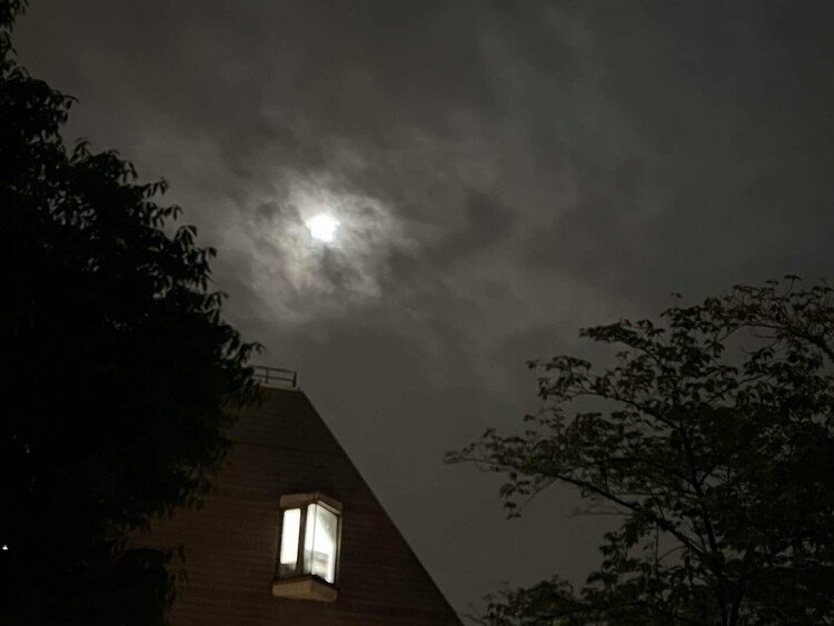 5月16日満月。アメリカ先住民の呼び名はFlower Moon。16日は、夜まで雨が降って、残念ながら月は見られそうにない、と諦めた。夜中布団に入って、ふと、外を見ると、幸運なことに雲間から月が顔を覗かせていた。