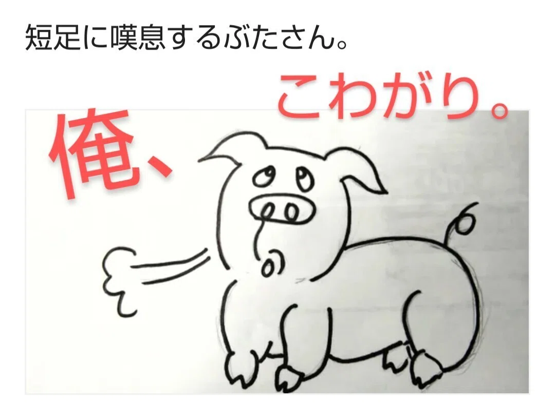 画像49