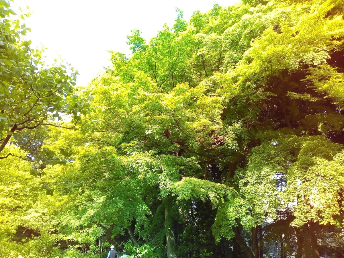 画像2