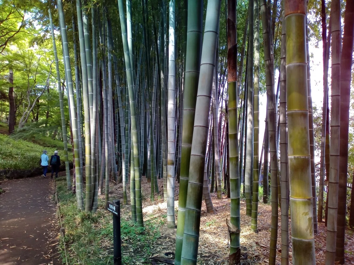 画像5