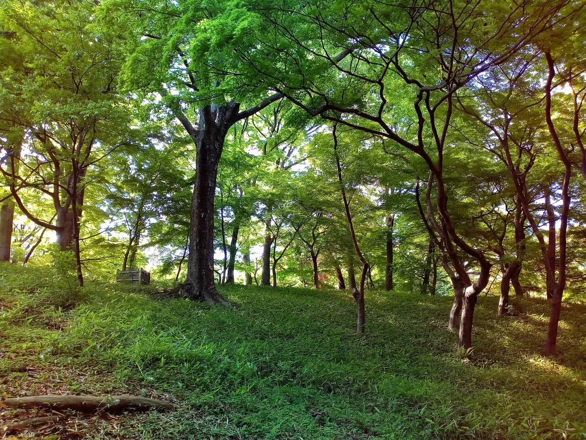画像6