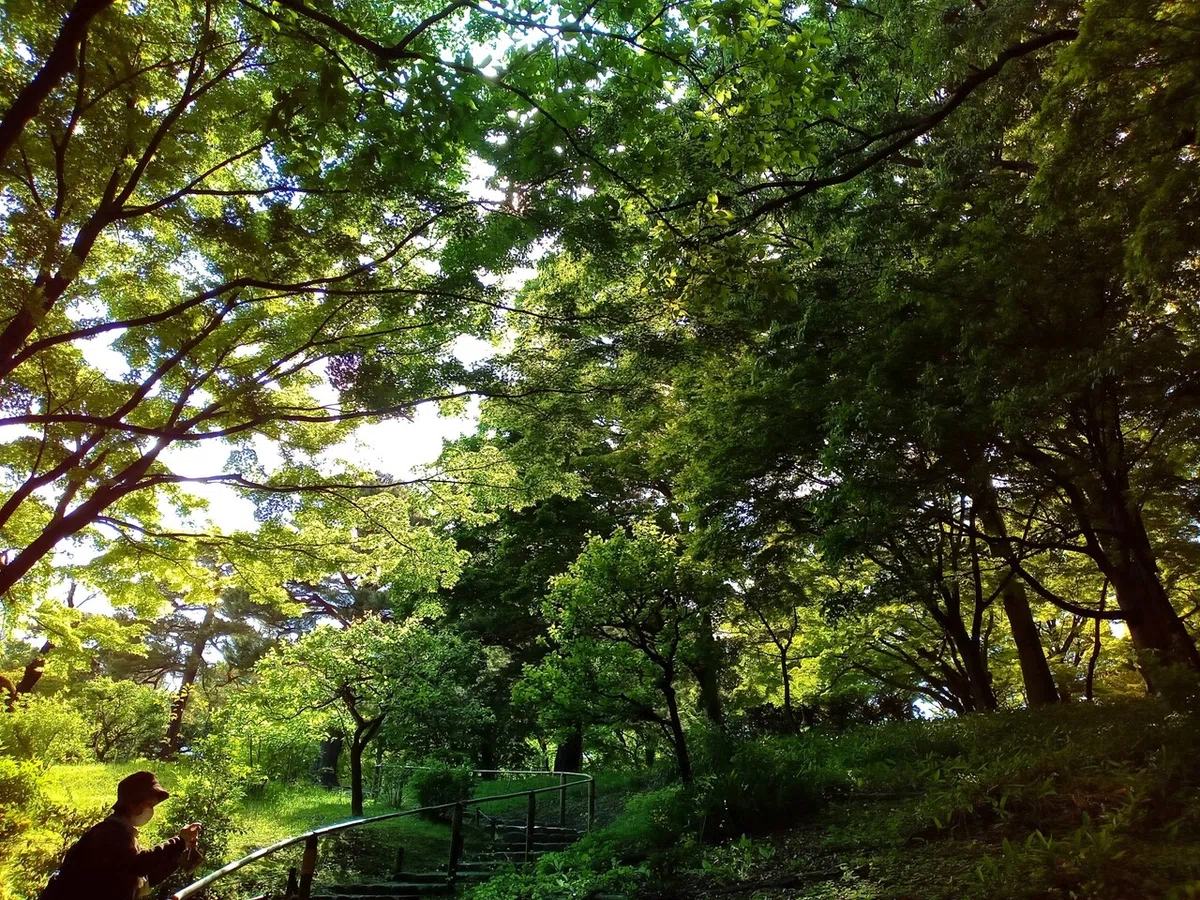 画像7