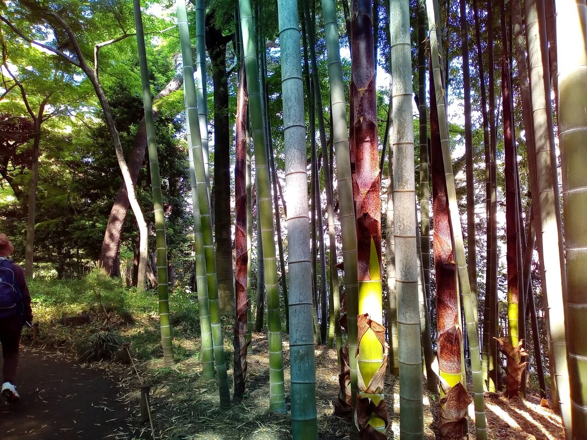 画像10
