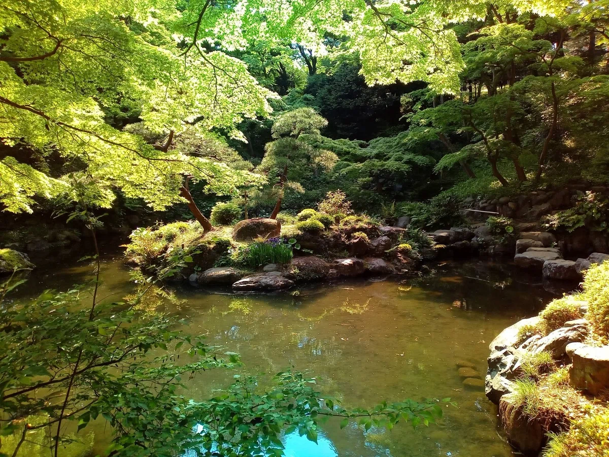 画像4