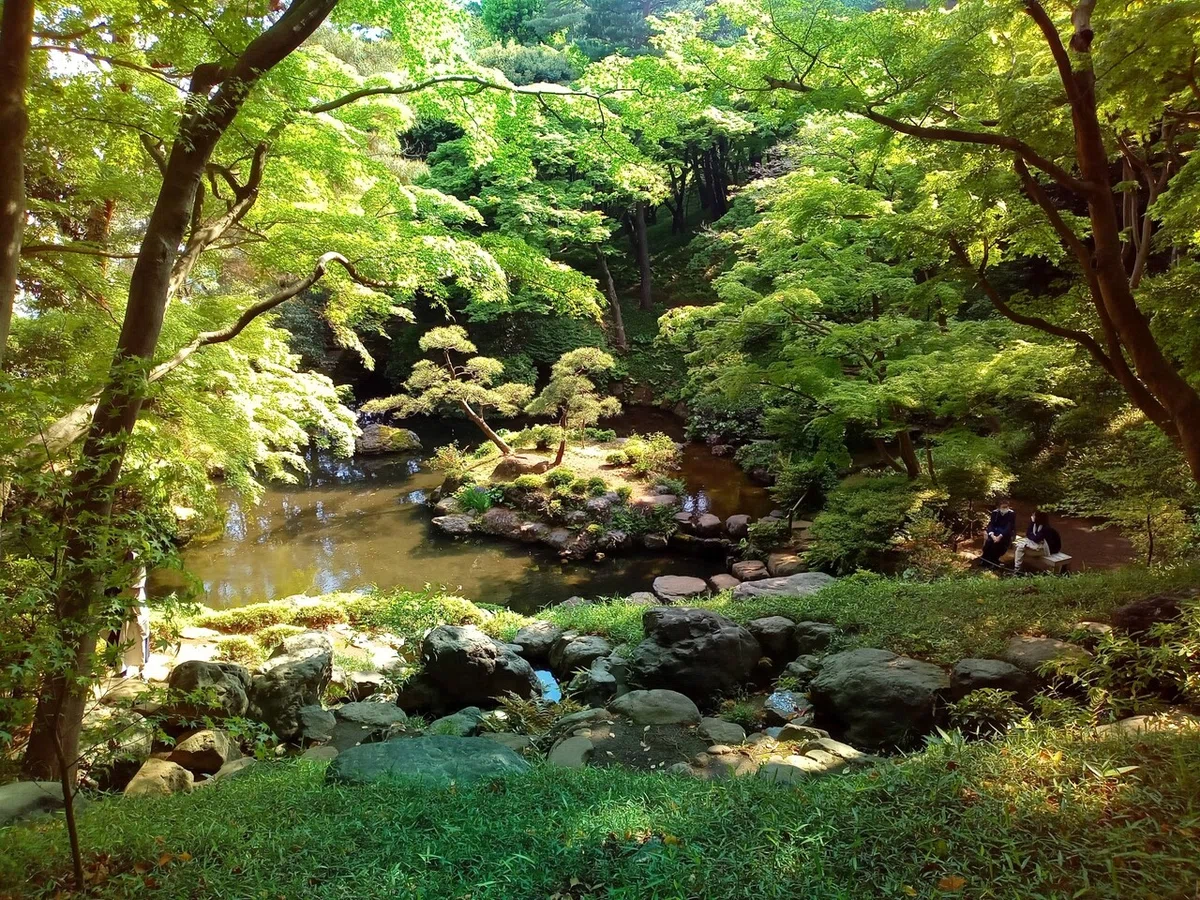 画像8