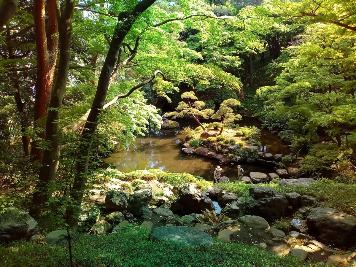 画像9
