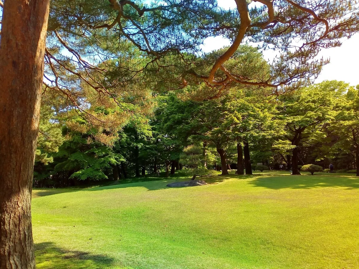 画像5