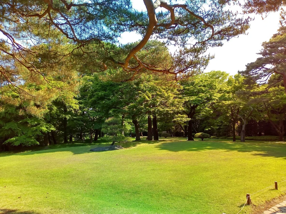画像6