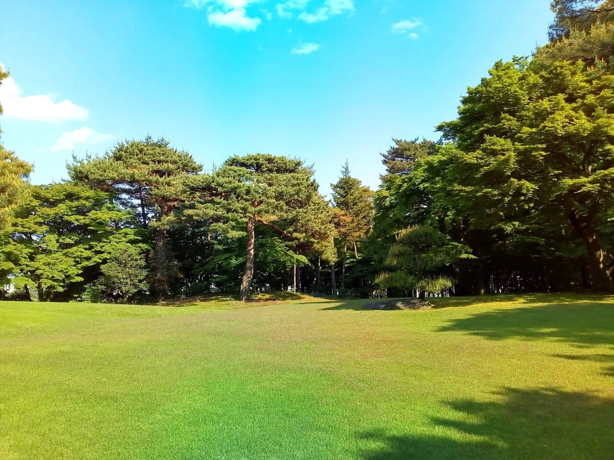 画像7