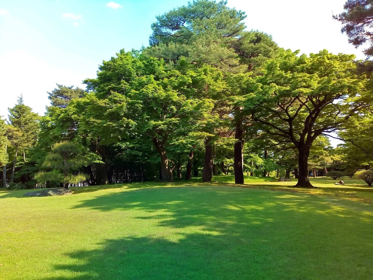 画像8