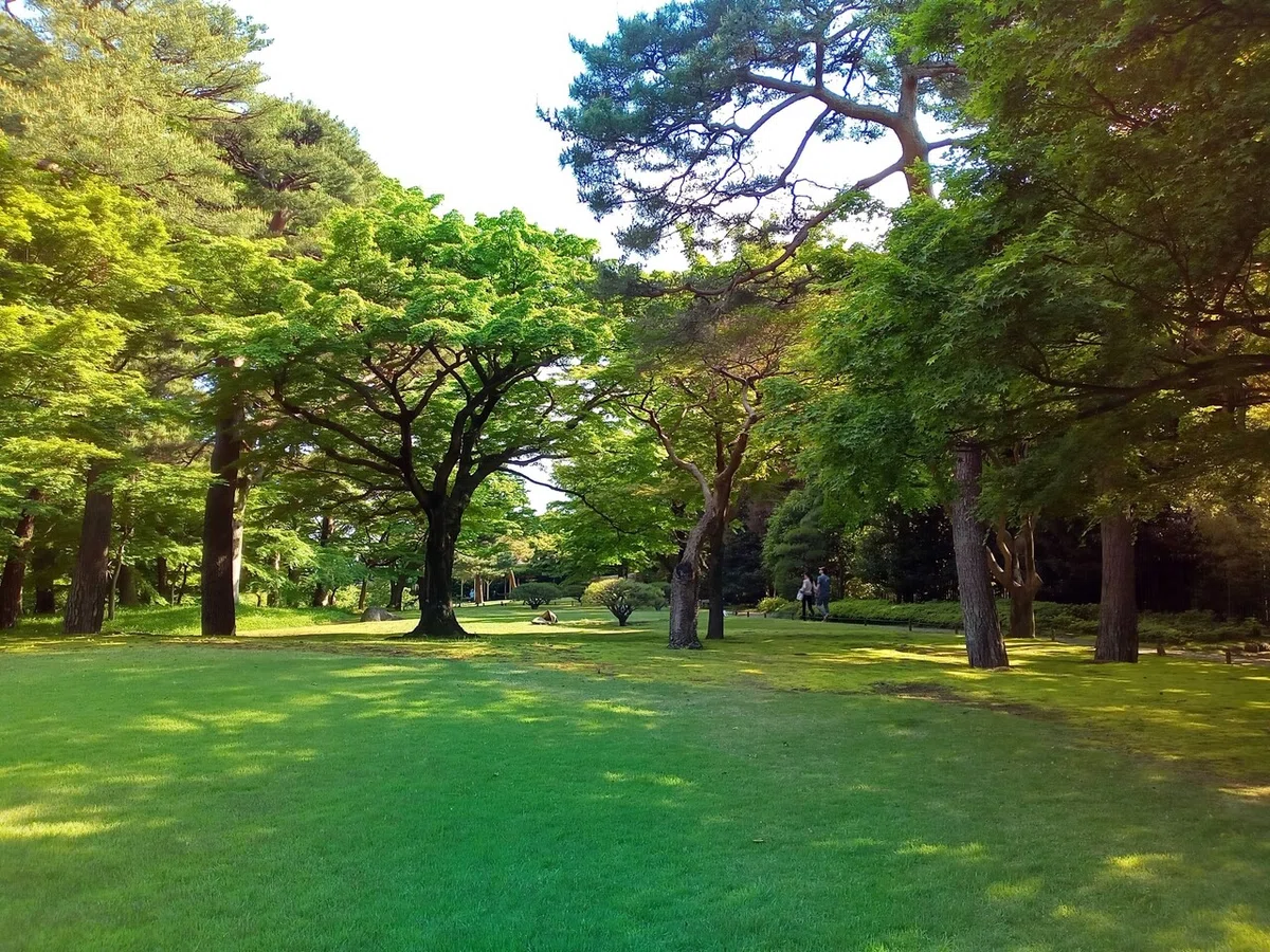 画像9
