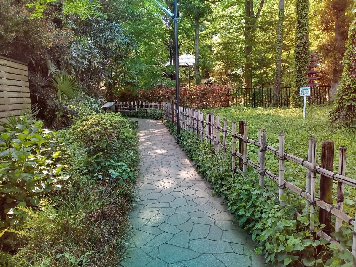 画像5