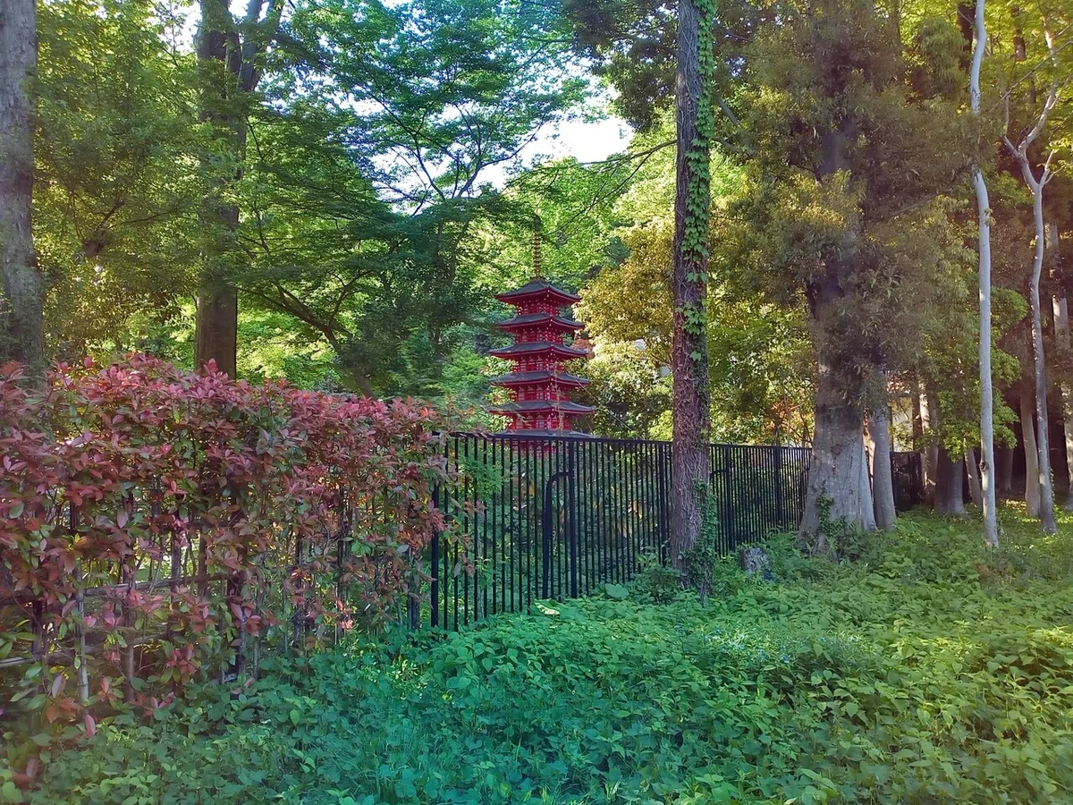 画像7