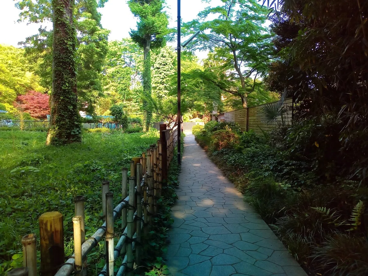 画像8