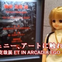 TOTOCOの歩き方｜やんちゃっちゃん