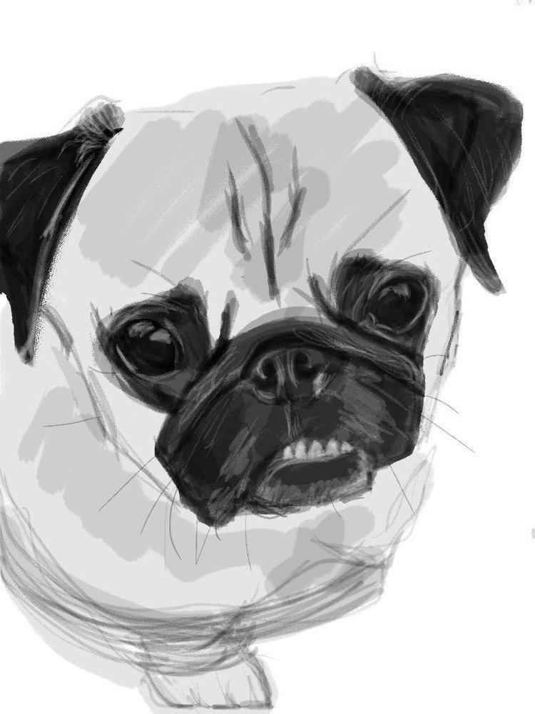 パグイラスト お絵描き ケンスケ コバヤシ パグ ピース Note