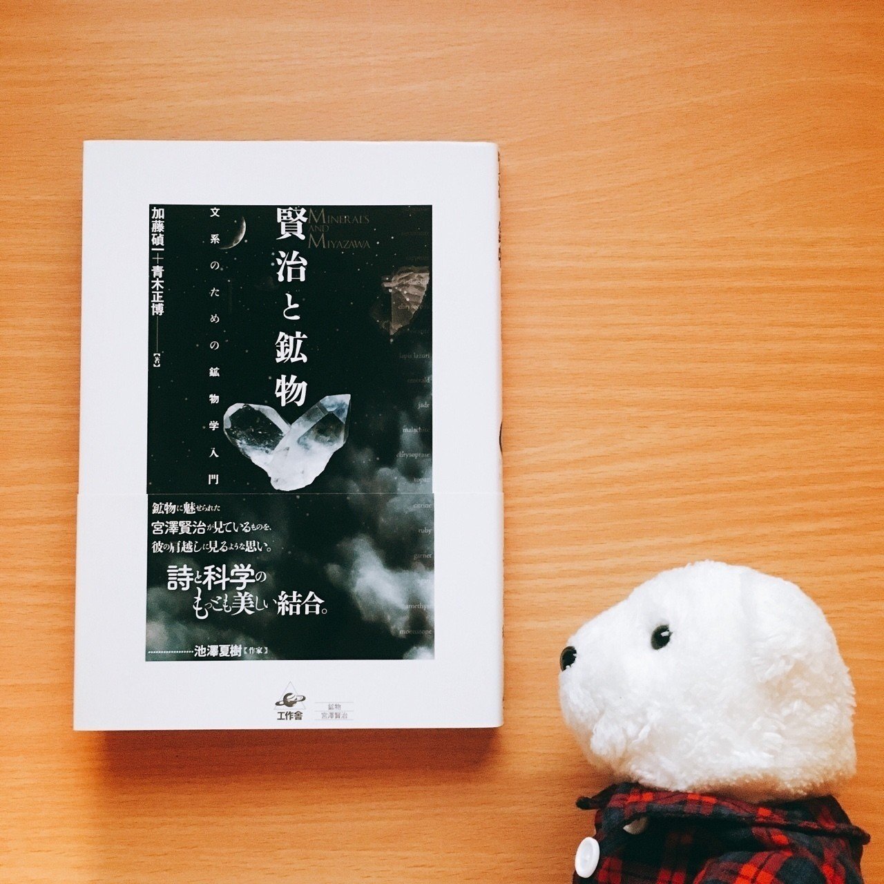 賢治と鉱物 文系のための鉱物学入門／加藤碵一，青木正博【著】