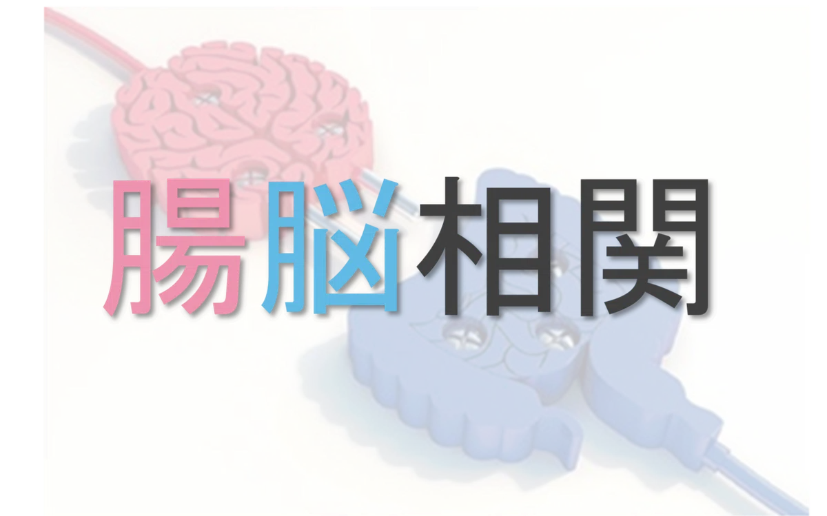 画像32
